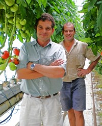 Richard & Anthony Sarks Of Ricardoes Tomatoes & Strawberries