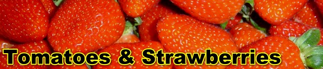 Ricardoes Tomatoes & Strawberries